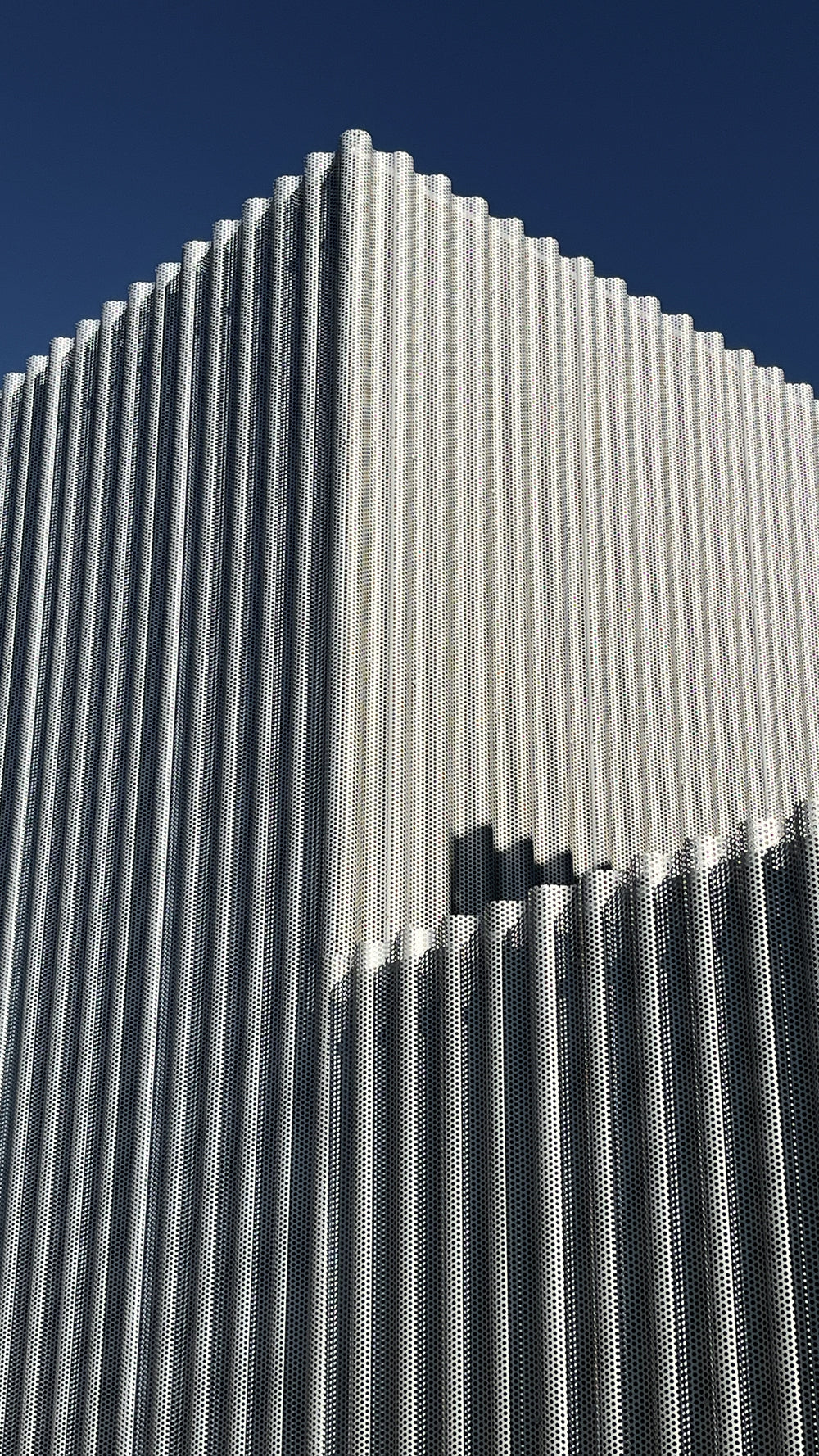 2025/03/19 1